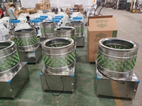 Nouvelle machine à plumer et à enlever les plumes de volaille en acier inoxydable à haute productivité, modèle TM-L