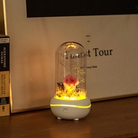 Diffuseur d'aromathérapie créatif en plastique à fleurs éternelles, éclairage d'ambiance sept couleurs, télécommandé, alimenté par USB, lampe aromatique pour la maison