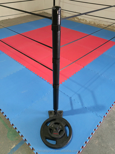 FightBro FPR <span class=keywords><strong>Ring</strong></span> <span class=keywords><strong>de</strong></span> <span class=keywords><strong>boxe</strong></span> portable <span class=keywords><strong>de</strong></span> petite taille - Product Image 6