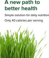 Poudre de superaliments végétaliens à base de plantes, marque privée OEM ODM, avec protéines et spiruline