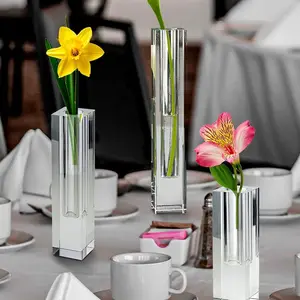 Nordic Style Tabletop Decoração Mão Soprado Dupla Camada Limpar Vaso De Vidro Colorido para Flower Centerpieces