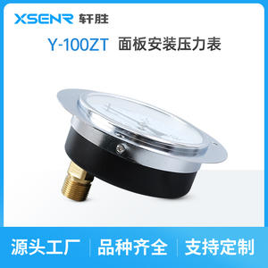 Manomètre analogique Suzhou XuanSheng Y100ZT 100 mm 1,6 MPa, type panneau axial avec bordure - Product Image 3