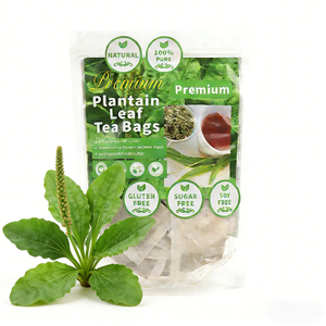 Sachets de Tisane Naturelle Pure aux Feuilles de Plantain 90g 60 Sachets 1.5g Sans Caféine Infusion Bien-être Quotidienne pour la Relaxation - Product Image 6