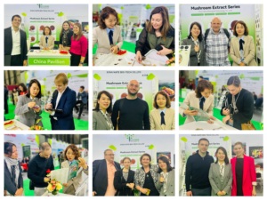 Bột Chiết Xuất Đa Thực Vật Fo-ti <span class=keywords><strong>Root</strong></span> He <span class=keywords><strong>Shou</strong></span> <span class=keywords><strong>Wu</strong></span> Fallopia - Product Image 6