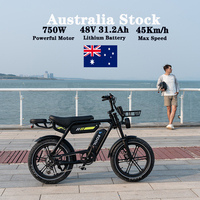 Koolux NOUVEAU Vélo Électrique X9pro Stock Australie 250W pour UE pour AU Pneu Large 20 Pouces Roue Arrière en Acier Moteur Brushless Lithium