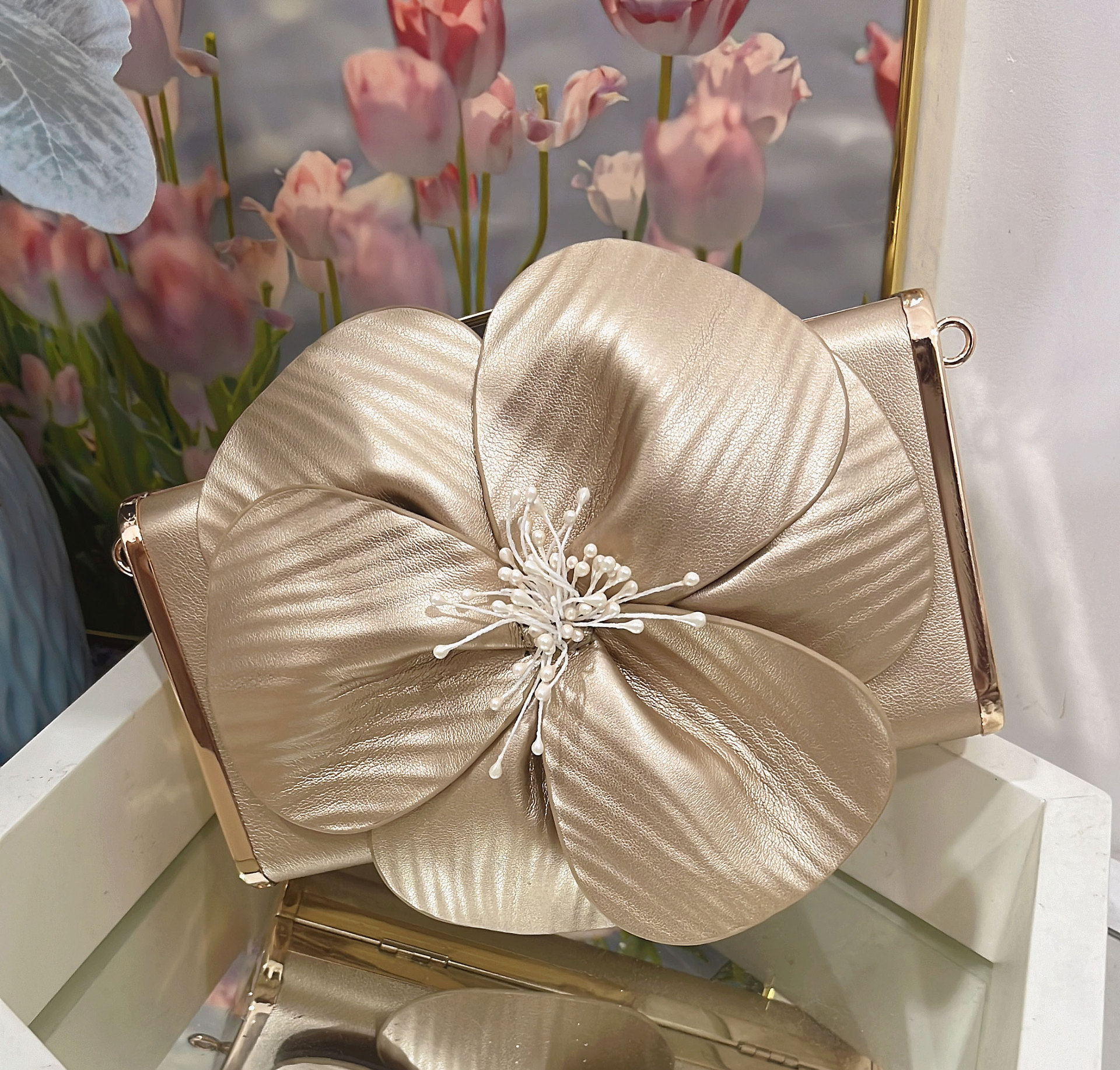 carol party shoe and bag sets