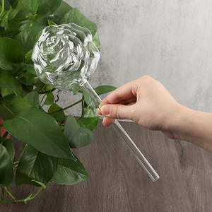 56H ग्रीन प्लांट्स लेज़ी मैन ऑटोमैटिक वॉटरर क्रिएटिव एनिमल बर्ड मशरूम ग्लास वॉटरर ड्रिप और इन्फिल्ट्रेशन डिवाइस - Product Image 4