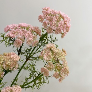 Fleurs artificielles en dentelle de haute qualité, fleurs en dentelle rose et blanche pour vase, bouquets de mariée, centres de table, décoration de mariage à domicile - Product Image 5