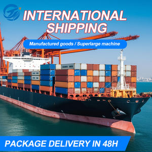 Agente de envío marítimo de China a Europa Países Bajos Servicio de carga marítima puerta a puerta - Product Image 4