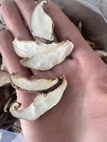 Champignons Shiitake déshydratés en tranches 3mm-5mm Qualité alimentaire naturelle Sac de 10kg Exportation