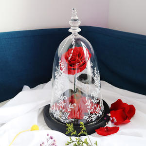 Type classique Rose beauté <span class=keywords><strong>Rosa</strong></span> <span class=keywords><strong>Bella</strong></span> E Bestia cadeau de la Saint-Valentin Rose éternelle dans un dôme en verre préservé Rose beauté et la bête - Product Image 1