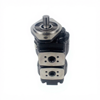 Pompe hydraulique à engrenages en fonte OEM 406827R91 – Débit optimisé, réponse rapide pour chargeuse-pelleteuse 3CX 4CX