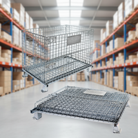 Caisse de palette empilable en acier au carbone robuste pour centre de distribution logistique, gain de place, personnalisable