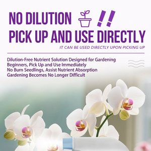 Fertilizante <span class=keywords><strong>Líquido</strong></span> Nutritivo Orgánico <span class=keywords><strong>para</strong></span> Orquídeas, Promueve la Floración, Mejora la Actividad del Suelo, Cuidado de Orquídeas <span class=keywords><strong>en</strong></span> Maceta - Product Image 2