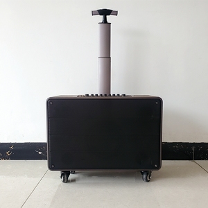 Altavoz de fiesta de alta potencia, dispositivo de karaoke con carrito/retraso/<span class=keywords><strong>echo</strong></span>/micrófonos, MBA, 2,1 - Product Image 3