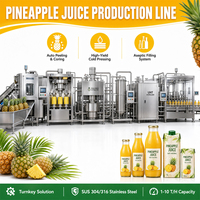 Línea de Producción de Jugos Multifuncional, Máquina Automática Personalizada para Hacer Jugos de Naranja, Manzana, Mango y Piña