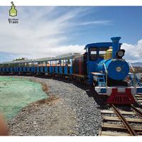 Pista trilhos de Trem do Thomas na Africa Original - Mini Cientista Brinquedos