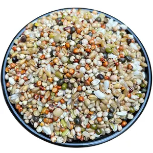 Wholesale Pet Food Mixed Bird Fodders For Fish And Birds