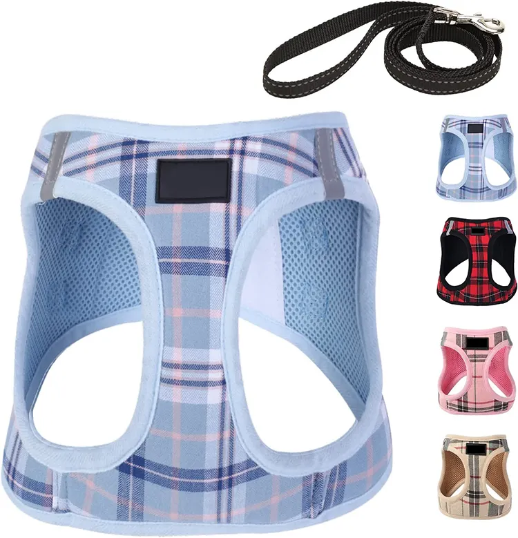 red dog harness