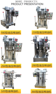 After-sales Guarantee Palm Oil Press Industrial <b>Large</b>, Screw Type High Yield Processing Equipment - Product Image 2