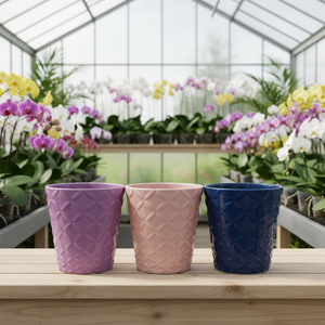 <span class=keywords><strong>Macetas</strong></span> pequeñas personalizables de fábrica, <span class=keywords><strong>macetas</strong></span> de cerámica coloridas <span class=keywords><strong>para</strong></span> oficina, hogar, <span class=keywords><strong>mesa</strong></span>, decoración de jardín, venta al por mayor, Kit de huerto - Product Image 2