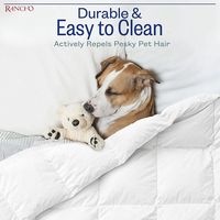 Juego de ropa de cama de diseño liso, suave y grueso, OEM, venta a granel