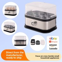 Ménage Automatique Multifonctionnel Cuiseur À Vapeur Portable En Acier Inoxydable Cuiseur À Oeufs 6 Oeufs Capacité Mini Chaudière Électrique
