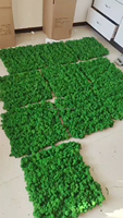 YUnnan Usine Entier Préservé Mur De Mousse verte Panneaux D'art Mural Décoratif Préservé Mousse Artificielle Panneau Mural