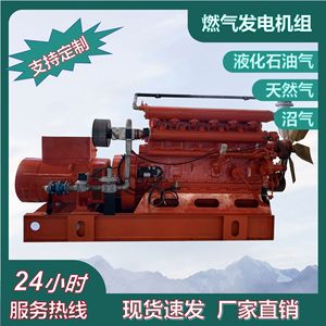 Générateur à gaz 250 kW, moteur GPL/GNC, équipement d'alimentation 440 V pour usage industriel - Product Image 5