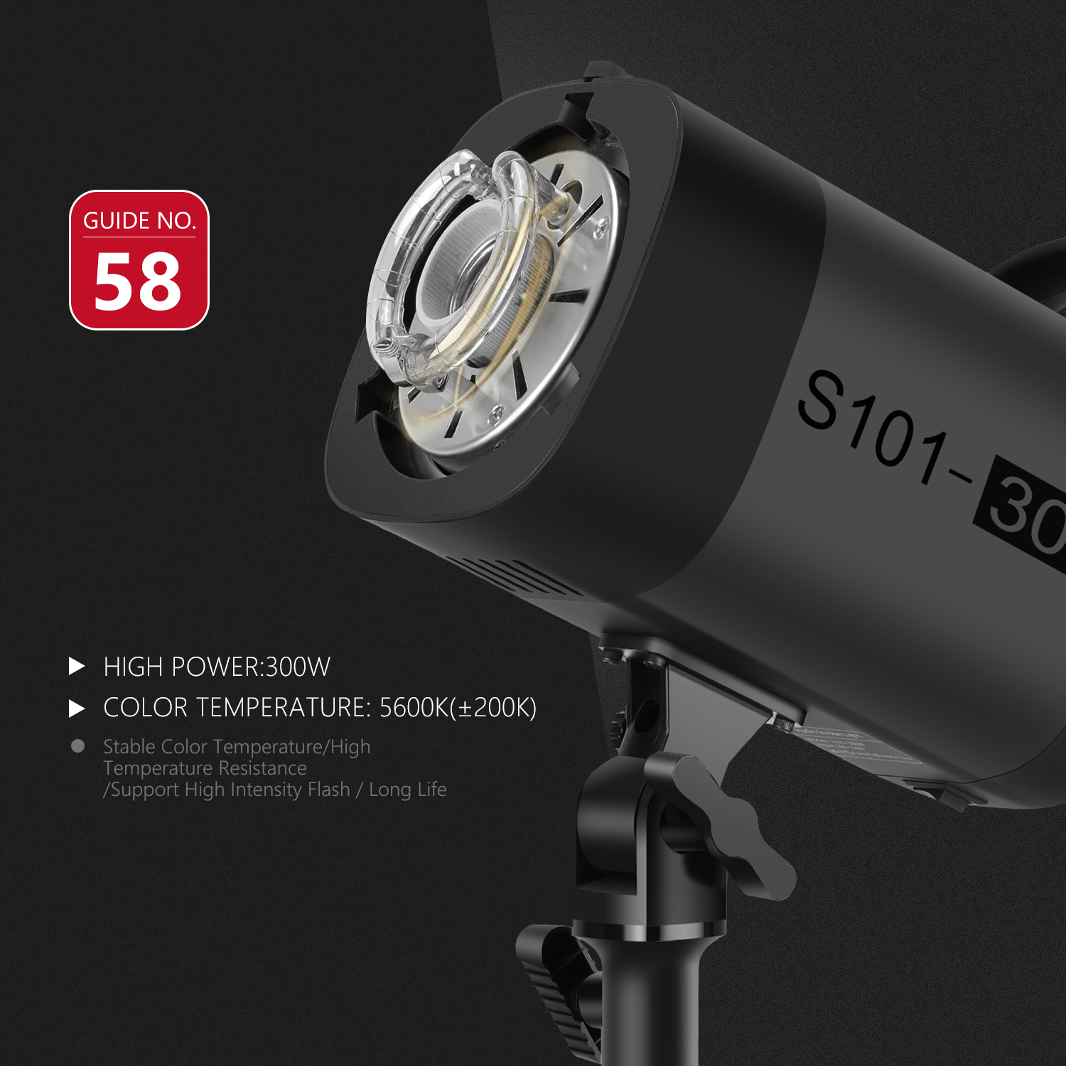 Neewer S101-300W Studio Strobe Light, 300W 5600K Moonlight Lamp