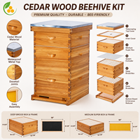 Ruche Langstroth complète à 3 couches, 10 cadres, en bois de sapin, boîte à abeilles, équipement d'apiculture, ensemble complet