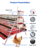 Jaula para pollos de tipo A con niveles escalonados, de alambre de zinc, aluminio y magnesio, gallinero de capacidad personalizada para granjas avícolas en África