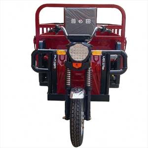 <strong>2022</strong> <strong>Best</strong> Factory Price 300Kg Tricycle 14 Inch Electric <strong>Bike</strong> for Men Use - Product Image 1