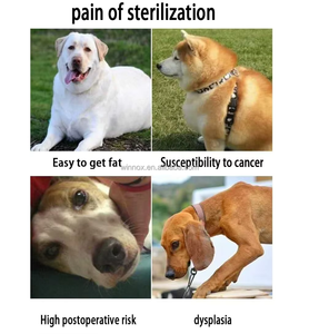 <span class=keywords><strong>2026</strong></span> YENİ Gelen Köpek Fizyolojik İhtiyaçları Eğitim ve Rahatlama Oyuncağı Her Boyutta Köpekler İçin Güvenli Köpek Oyuncağı - Product Image 5