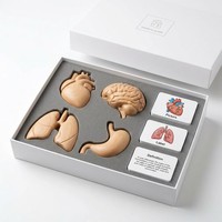 Ensemble de cartes flash personnalisées Montessori en papier et bois pour l'association des organes humains : Cœur, Cerveau, Poumon, Estomac (3 parties) avec images, étiquettes et définitions