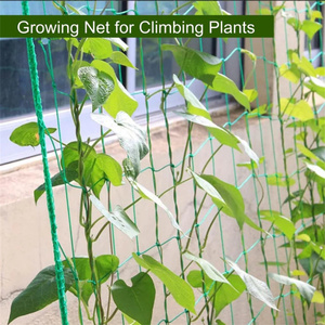 Malla <span class=keywords><strong>de</strong></span> soporte para <span class=keywords><strong>plantas</strong></span> trepadoras <span class=keywords><strong>de</strong></span> HDPE <span class=keywords><strong>de</strong></span> 27 capas con estabilización UV para agricultura, jardín y huertos, 1.8m x 2.7m - Product Image 5