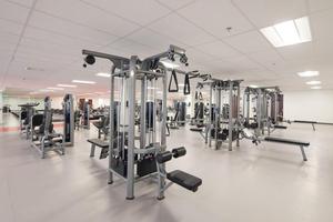 <span class=keywords><strong>Elite</strong></span> Integrato Jungle Gym Machine Professionale con Caricamento a Pesi Selezionabili per Allenamento della Forza, per Uso Commerciale - Product Image 4
