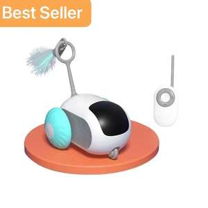 USB şarj edilebilir akıllı uzaktan kedi ve köpek interaktif Pet oyuncak akıllı Pet hareketi oyuncak spor oyuncaklar çocuklar için tenis spor spor Peti - Product Image 1