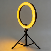Lampe vidéo LED Qiniu 12 pouces avec trépied 2M en ABS, alimentation CA 10W, intensité réglable, 3 modes de couleur pour le streaming en direct, TikTok, maquillage