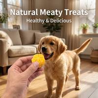 Biscuits Artisanaux en Forme de Fleur de Cerisier pour Chiens, Friandises Premium au Poulet Riches en Protéines, Snacks Sains Cuisinés pour Animaux de Compagnie, Marque Privée