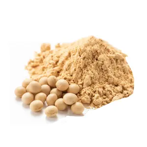 Soybean meal to Pakistan China factory for sale SBM protein 45