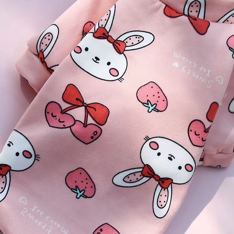 Spring Autumn Winter Cartoon Pet Apparels Sustainable XS S M Size