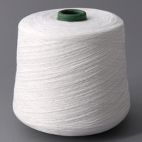 High Quality High Bulk 21/2,26/2,28/2,32/2 Dyed 100% Acrylic Yarn for Knitting
