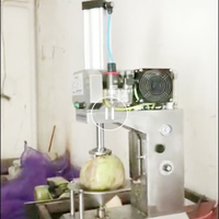 Lame de décortiqueuse de noix de coco, outil de finition et de raclage avec engrenages et composants de pompe, en acier inoxydable, usage industriel