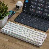 Keyboard Mekanik USB-C Nirkabel RGB Backlit Baru untuk Dual Mode Hot-Swappable Mini 61-Key Red Switch untuk PC PS4 iPhone iPad