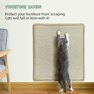 Fabrika kaynağı kedi ağaçları & Scratcher faydalı <span class=keywords><strong>Sisal</strong></span> Mat & Pet oyuncak dahil olmak üzere çok ürün seti kedi uyku karton ambalaj - Product Image 6