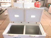 Congélateurs coffres électriques AC/DC blancs à porte pliante, 220L, mini-congélateur coffre à température unique pour usage domestique et hôtelier