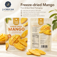 Gedroogde Mango Slices 100% Echt Mango Fruit Snack Klaar om te eten Gezond 15g/zak China Leverancier Groothandel OEM Private Label