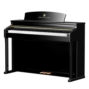 เปียโนดิจิตอล TERENCE E50 88 คีย์ แบบค้อนถ่วงน้ำหนัก พร้อมคีย์เปียโนมาตรฐาน - Product Image 2