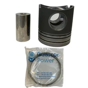 Professional Guascor Piston Assembly Original Guascor Parts